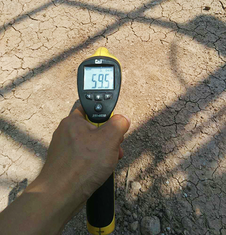 弘扬女排心灵：皇家国际智能炎夏服务二三事