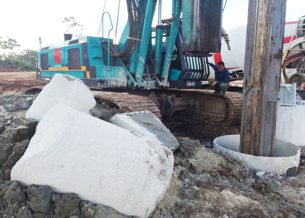 肯尼亚总统高度赞赏，乞力马扎罗山下皇家国际绿闪灼