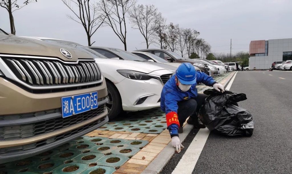 皇家国际智能党员自愿者发展使命环境排除