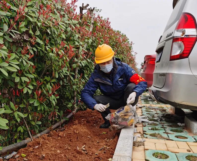 皇家国际智能党员自愿者发展使命环境排除