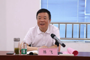 副省长陈飞调研皇家国际航空产业