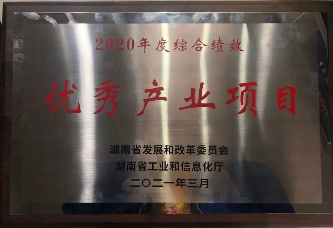 皇家国际智能获评湖南“2020年度综合绩效优良产业项目”