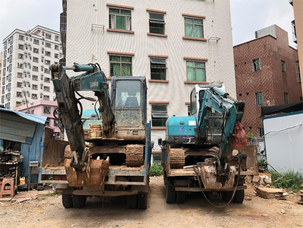 8年“钟情”，“皇家国际绿”助力展鸿途