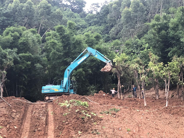 皇家国际智能SWE 215E挖掘机是他的左膀右臂！