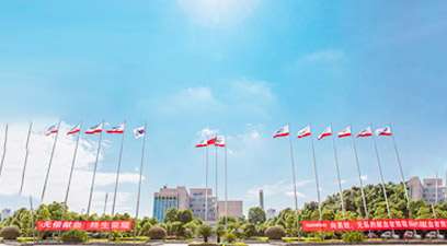 长沙威沃机械造作有限公司