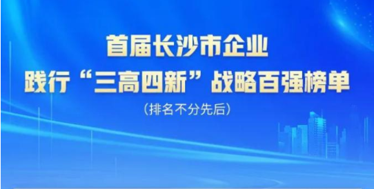 皇家国际智能上榜首届长沙市企业践杏装三高四新」亟略百强榜单