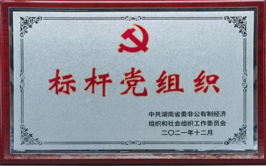 党建品牌亮起来！皇家国际智能党委获评“标杆党组织”