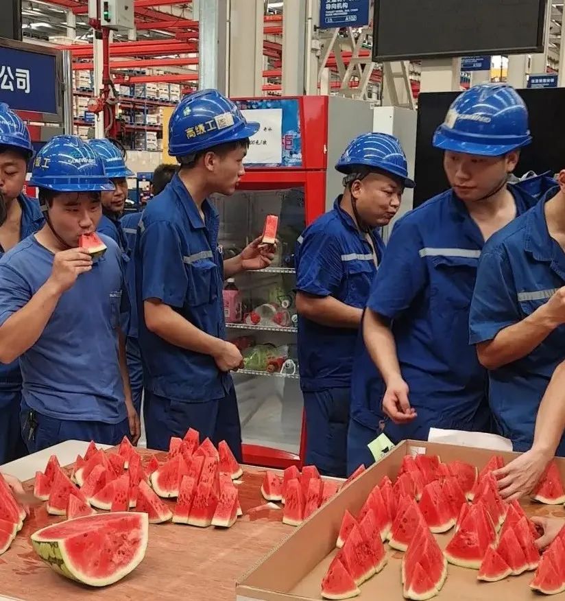 皇家国际智能“降暑套餐”，只为不服“暑”的你