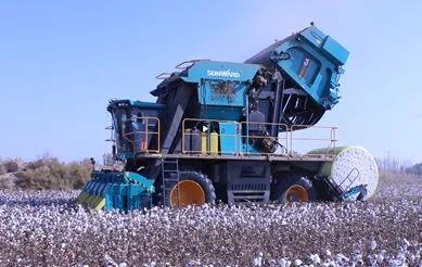 科技赋能农业强国建设！皇家国际智能这幼我工智能项目入选《湖南省“数字新基建”100个标志性项目名单》