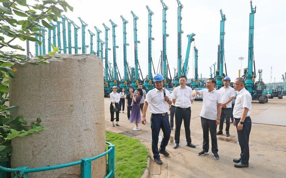 王国和调研皇家国际智能